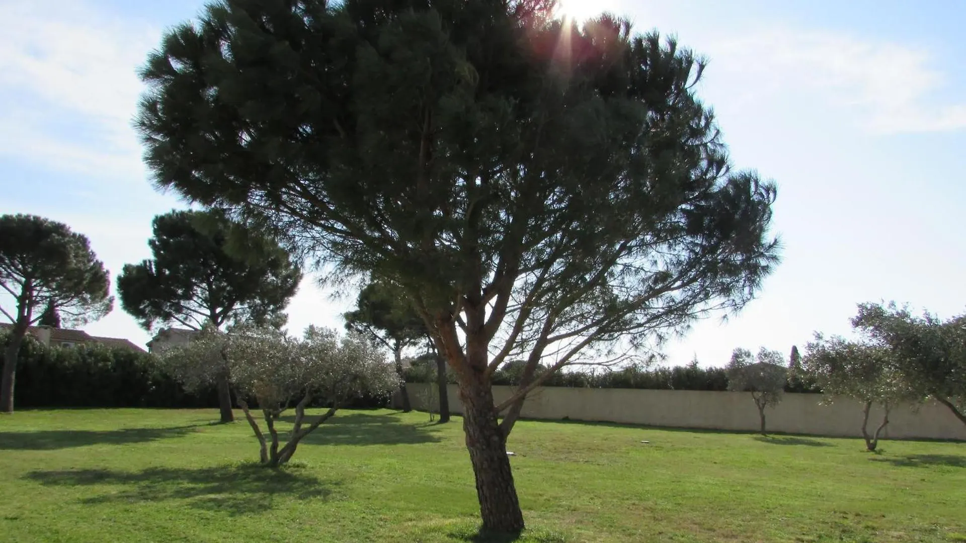 Yana Villa Arles
